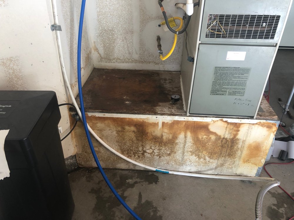 sewage cleanup gilbert