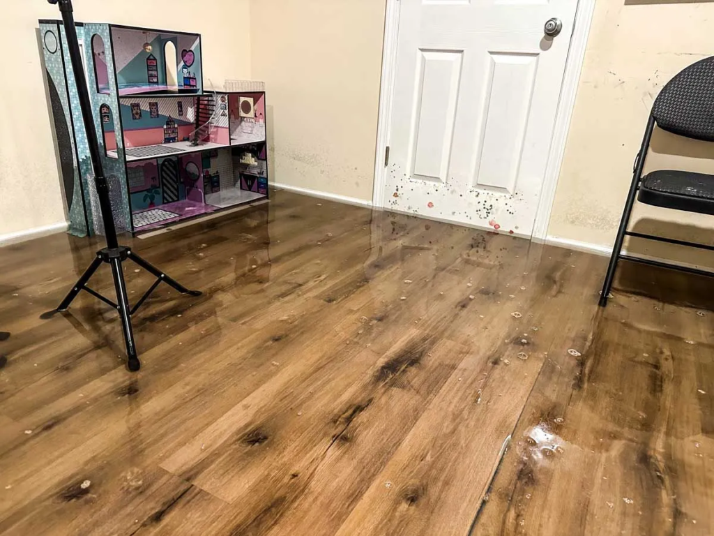 flood cleanup gilbert az